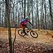 A mountain biker performing a jump over a dirt trail surrounded by bare trees in a forested area during autumn. Country Park mountain bike trail.
