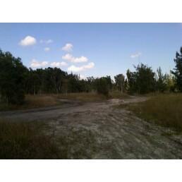 A dirt path winding through a sparse landscape with patches of grass and small trees under a clear blue sky with a few scattered clouds. Bird Basin Park mountain bike trail.