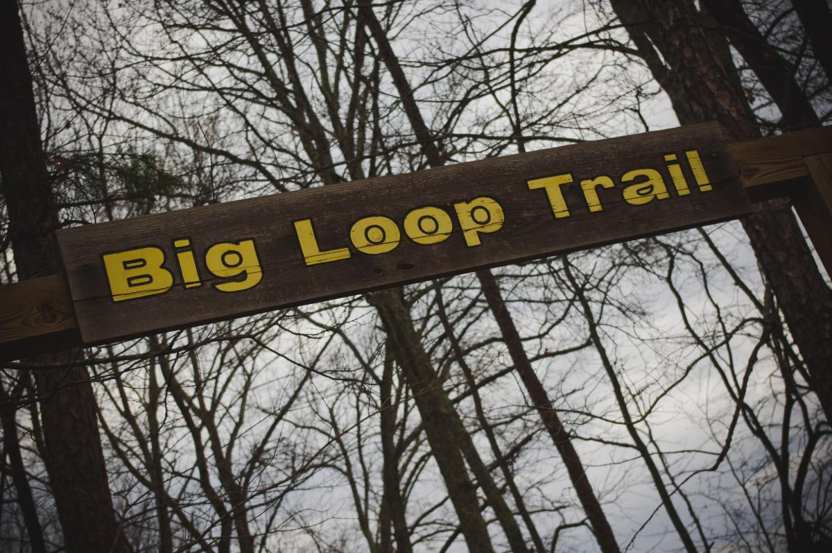 Sign for the "Big Loop Trail" made of wood with yellow letters, surrounded by trees and a cloudy sky in the background. Big Loop mountain bike trail.