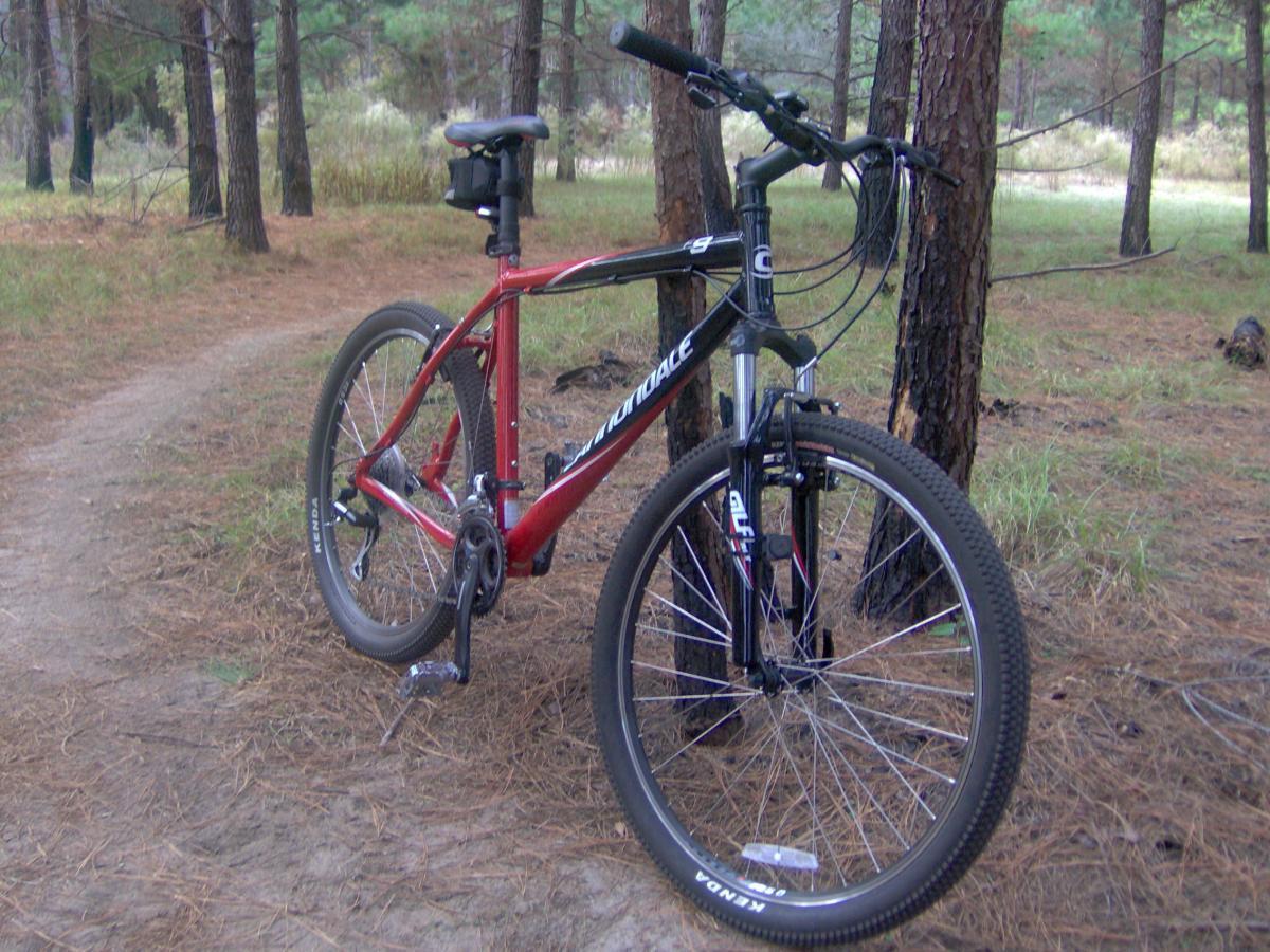 A red and black mountain bike resting against a tree in a forest setting, surrounded by pine needles and greenery. A winding dirt path can be seen in the background. San Felasco Hammock Preserve mountain bike trail.