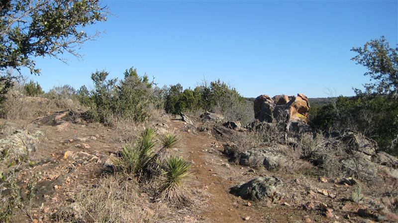 A rocky trail winding through a dry landscape, surrounded by low shrubs and scattered rocks under a clear blue sky. Small plants with spiky leaves are visible along the path, leading towards larger boulders in the distance. Reveille Peak Ranch mountain bike trail.