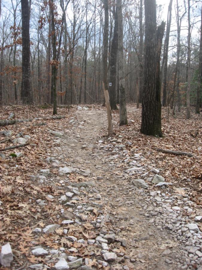 A winding dirt trail through a wooded area, bordered by scattered rocks and fallen leaves. Bare trees are visible in the background under an overcast sky, and a wooden post with a marker stands alongside the path. Big Creek mountain bike trail.