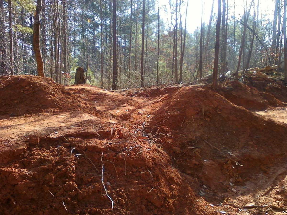 A dirt trail winding through a forested area, featuring several large mounds of reddish-brown earth. Tall trees with sparse foliage are visible in the background, indicating a natural setting. Sunlight filters through the tree branches, casting dappled shadows on the ground. Blankets Creek mountain bike trail.