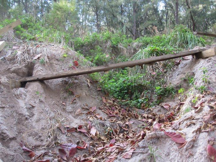 A wooden beam bridges a sandy depression surrounded by lush greenery and scattered autumn leaves. The scene features a natural setting with trees in the background, creating a serene outdoor environment. Virginia Key North Point mountain bike trail.