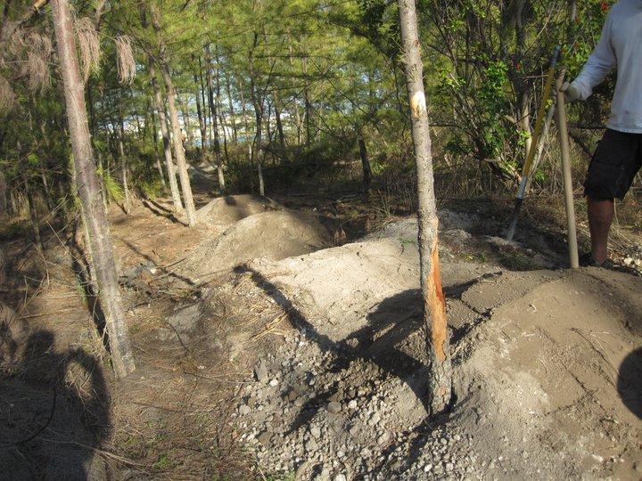 A person stands in a wooded area, holding a shovel, beside mounds of dirt and gravel. The background features several trees, with sunlight filtering through the branches, creating a natural setting. Some of the tree trunks show signs of wear, and shadows are visible on the ground. Virginia Key North Point mountain bike trail.