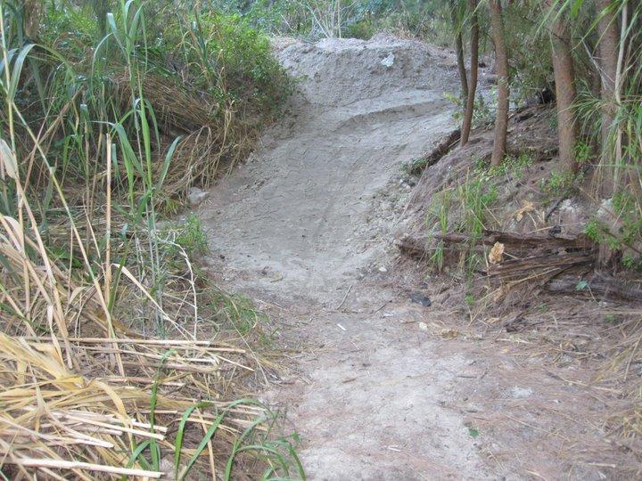 A dirt path surrounded by tall grasses and trees, leading to a sloped area that appears to be an incline made of compacted soil. The scene conveys a natural outdoor setting. Virginia Key North Point mountain bike trail.