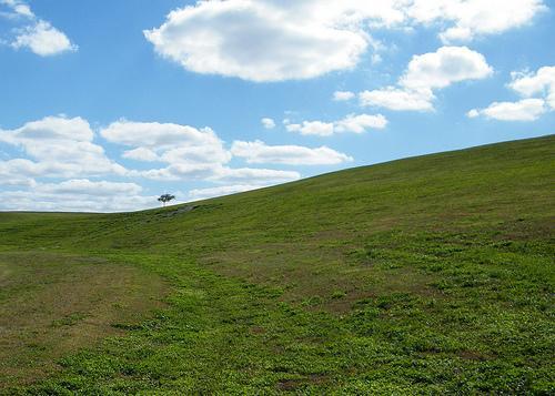 A serene landscape featuring a gently sloping green hill under a bright blue sky adorned with fluffy white clouds. A small tree is positioned near the crest of the hill, adding a touch of nature to the tranquil scene. Vista View Park mountain bike trail.