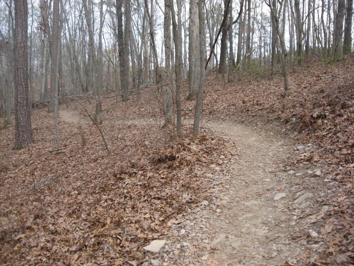 A winding dirt path through a forest, surrounded by trees with bare branches and a carpet of fallen leaves on the ground. The scene is peaceful and slightly overcast, suggesting a serene natural environment. Big Creek mountain bike trail.