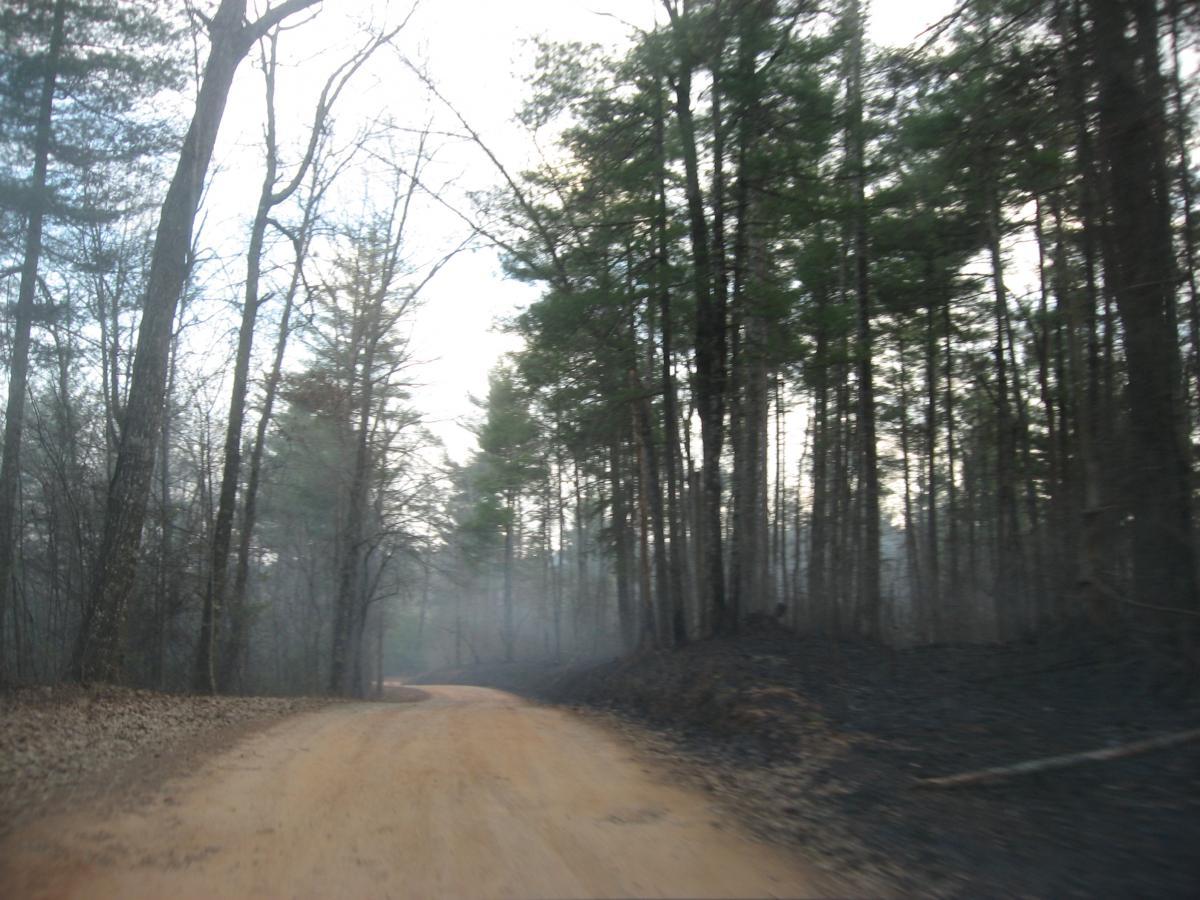 A winding dirt road surrounded by trees, some partially obscured by fog or smoke, leading through a forested area with signs of recent wildfire damage on the ground. Winding Stairs Loop mountain bike trail.