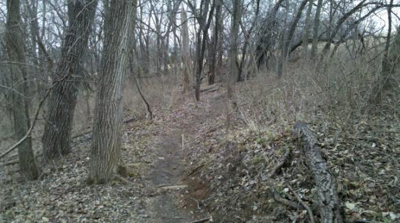A narrow, winding dirt path through a wooded area, surrounded by tall trees and sparse underbrush. The scene suggests a quiet, natural setting with minimal foliage, indicating early spring or late autumn. Landahl Park Reserve mountain bike trail.