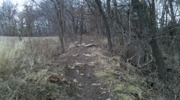 A narrow, winding dirt path surrounded by trees and scattered rocks, leading through a grassy area. The scene is set in a natural landscape, with sparse foliage and a cloudy sky. Landahl Park Reserve mountain bike trail.