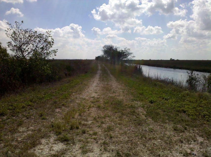 A dirt path lined with greenery stretches into the distance, beside a calm waterway and under a blue sky filled with fluffy white clouds. Southern Glades Trail mountain bike trail.