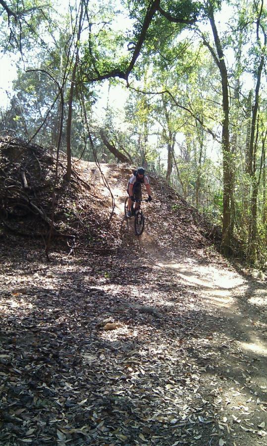A mountain biker navigates a dirt trail covered in leaves, surrounded by trees and greenery. The rider is descending a slope, focused on the path ahead as sunlight filters through the foliage above. Santos mountain bike trail.