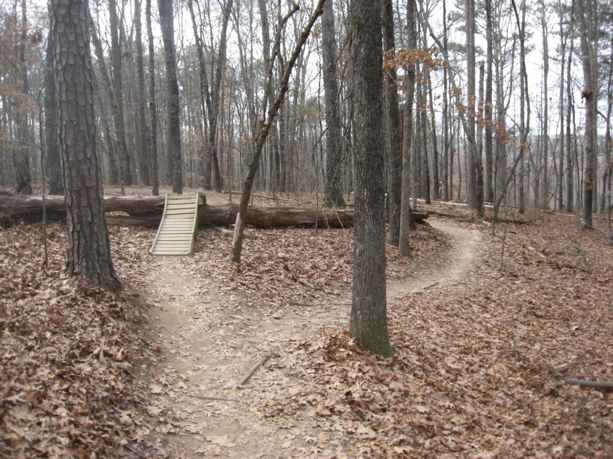 A dirt trail winding through a wooded area, with fallen leaves scattered on the ground. A wooden bridge spans a fallen log, leading to two diverging paths in the forest. The trees are bare, indicating a late autumn or early winter season. Big Creek mountain bike trail.