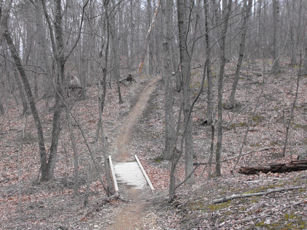 A narrow dirt path winding through a wooded area, with bare trees and a wooden footbridge crossing a small ditch. The ground is covered in fallen leaves, and the atmosphere appears quiet and serene. 3rd Battle Of Winchester Trail mountain bike trail.