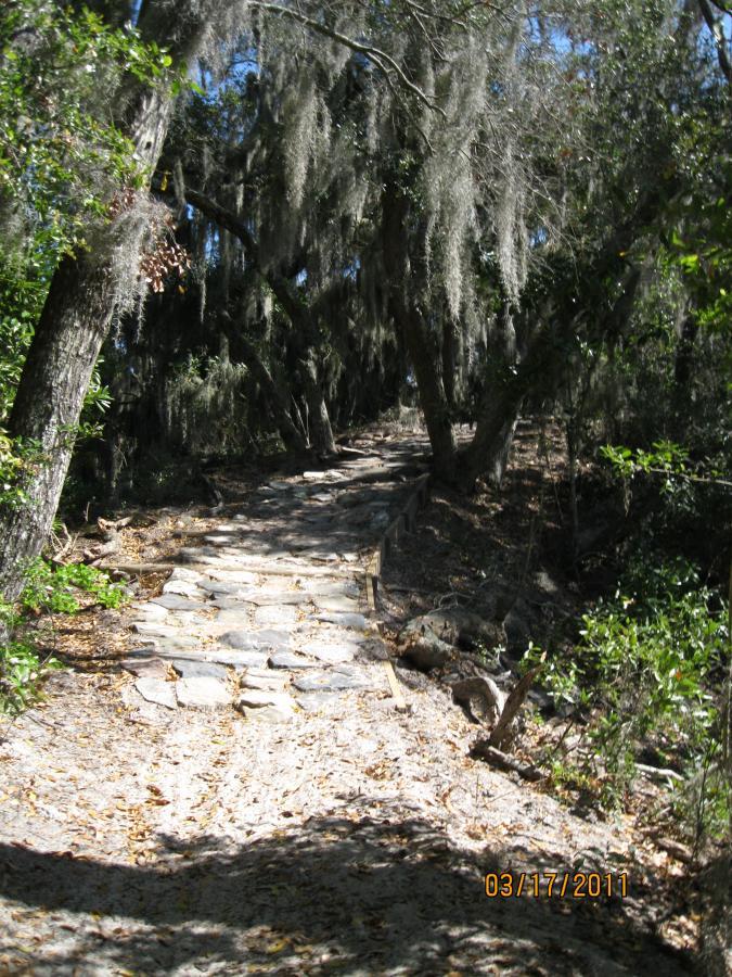 A rustic pathway made of stone steps leading into a shaded forest area, surrounded by trees draped with Spanish moss and lush greenery, with scattered leaves on the ground. Ft. Clinch State Park mountain bike trail.
