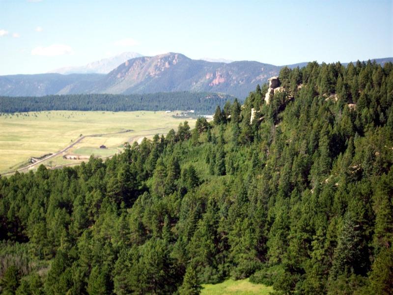 A scenic landscape featuring a lush green hillside covered with tall evergreens, gently rolling mountains in the background, and an open grassy valley below. The sky is clear with a few fluffy clouds, creating a serene natural setting. Spruce Mountain Trail Upper Loop mountain bike trail.