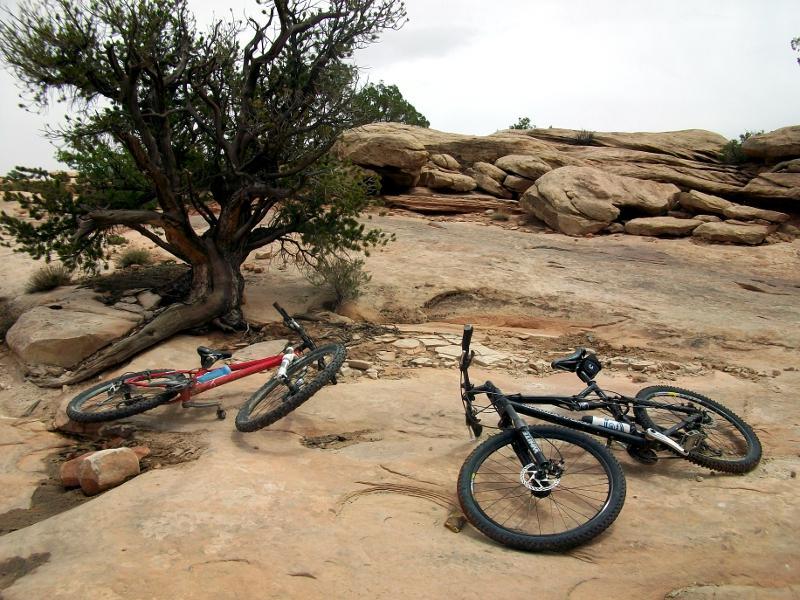 Two mountain bikes resting on rocky terrain near a small tree and rock formations under a cloudy sky. Gold Bar Rim mountain bike trail.