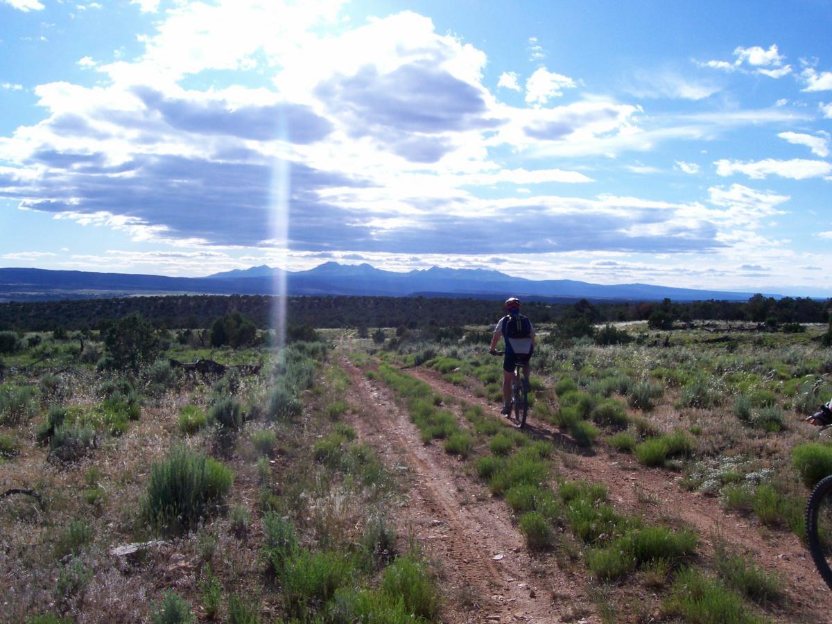 A mountain biker riding along a dirt path in a grassy landscape, with distant mountains under a bright blue sky filled with clouds. Paradox Trail mountain bike trail.