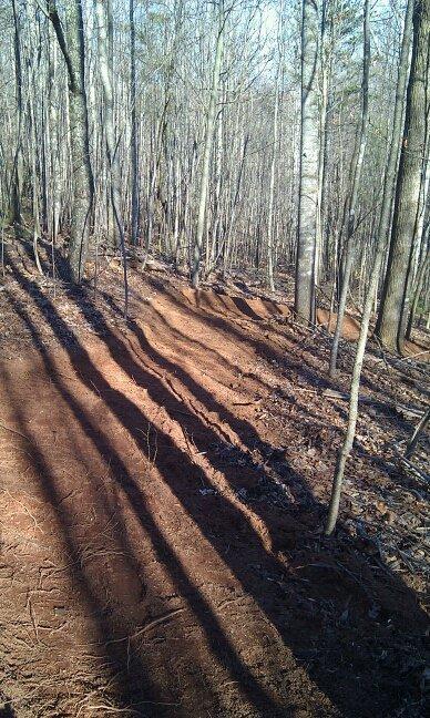 A dirt trail winding through a forest, featuring marked lines in the soil that create shadows from the trees. The scene is illuminated by sunlight filtering through the bare branches of the trees, with a backdrop of clear blue sky above. Woolwine Trails [Shiners Revenge] mountain bike trail.