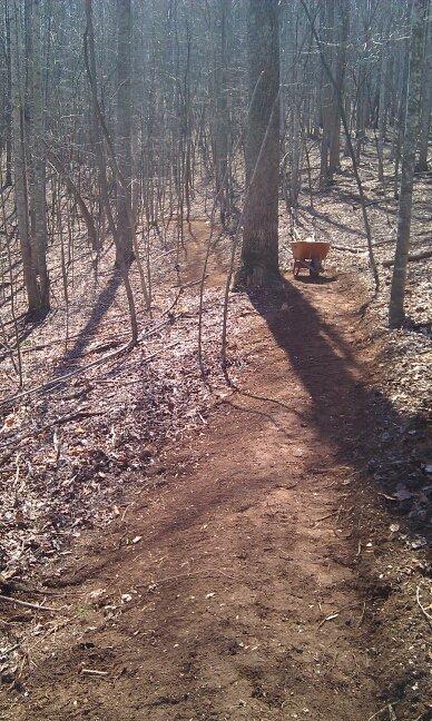 A dirt path winding through a wooded area, with leafless trees in the background. On one side of the path, there's a wheelbarrow resting against a tree, casting a shadow on the ground. Sunlight filters through the branches, illuminating the scene. Woolwine Trails [Shiners Revenge] mountain bike trail.