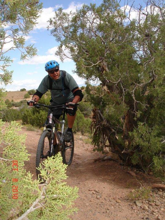 A mountain biker in a blue helmet navigates a dirt trail surrounded by shrubs and trees on a sunny day. The cyclist is focused and wearing protective gear while riding on a winding path through a natural landscape. Mary's Loop / Horsethief Bench mountain bike trail.