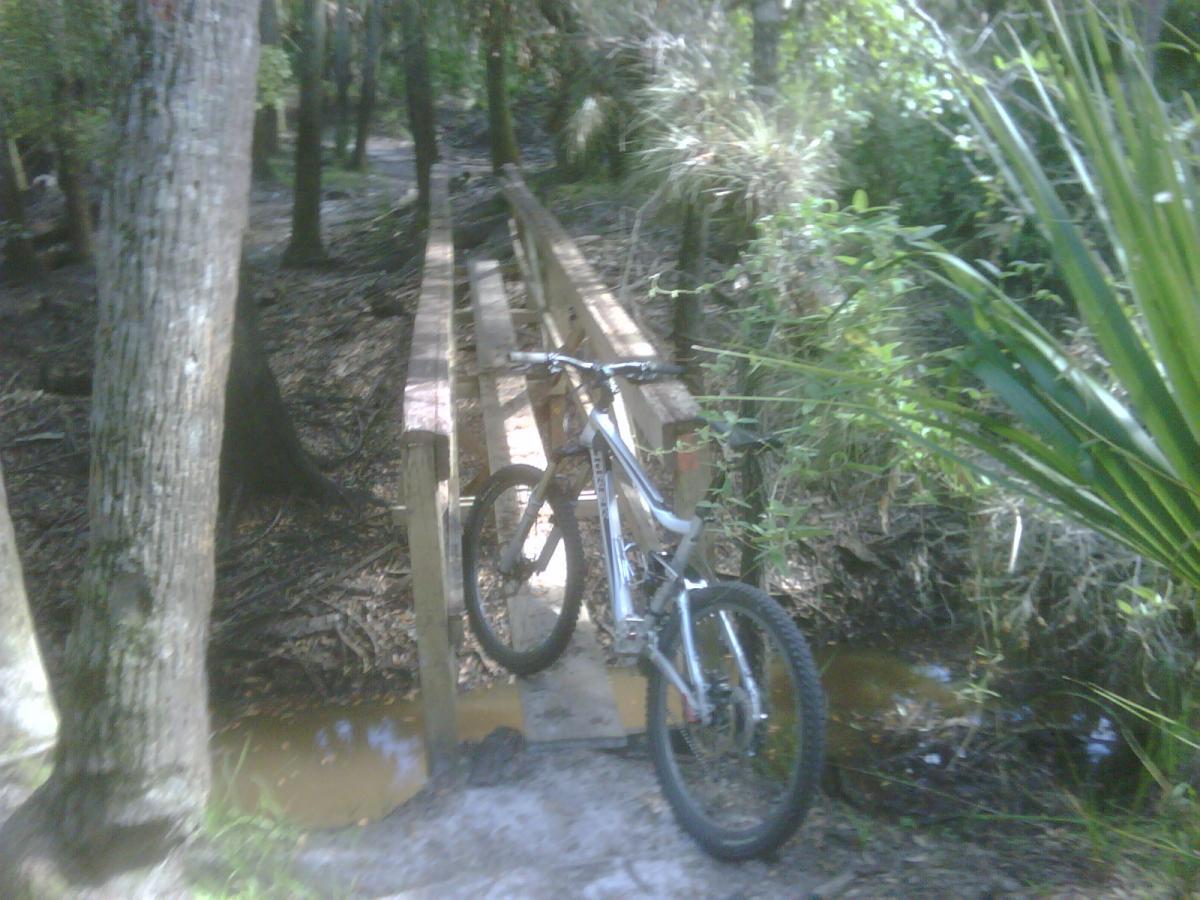 A mountain bike resting on a wooden bridge over a small creek surrounded by dense foliage in a forested area. Little Big Econ State Forest mountain bike trail.