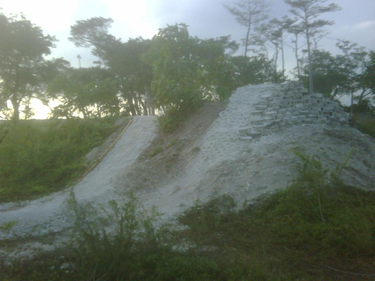 A partially constructed dirt ramp surrounded by vegetation, leading to a pile of bricks. Trees are visible in the background, under an overcast sky. Quiet Waters Park mountain bike trail.