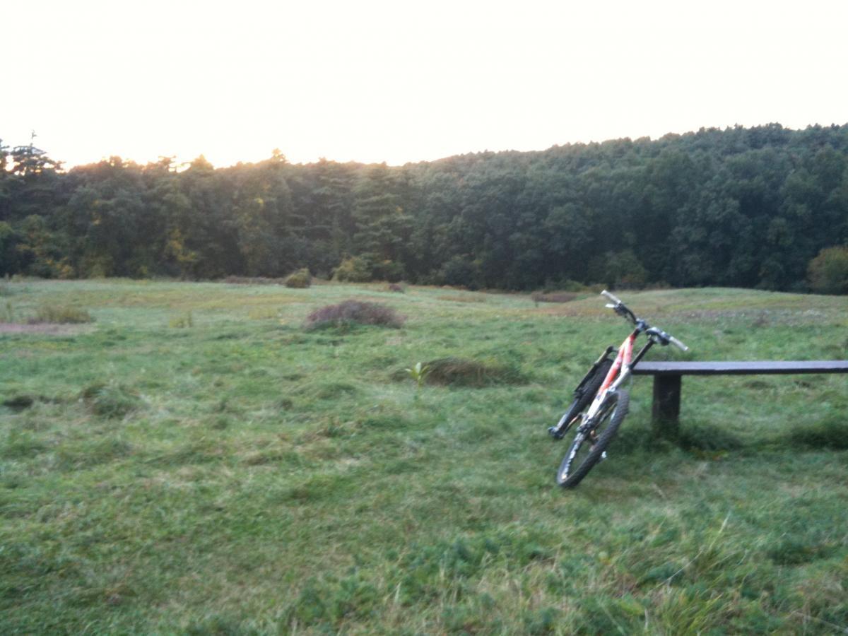 A grassy field at sunset, featuring a mountain bike leaning against a wooden bench. Dense trees line the background, and the sky is softly illuminated by fading daylight. Callahan State Park mountain bike trail.