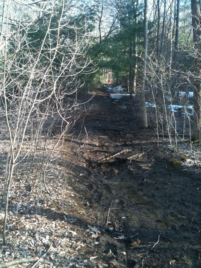 A narrow, muddy hiking path winds through a wooded area, surrounded by sparse trees and scattered leaves. In the distance, a hint of snow can be seen along the edges of the trail. The scene conveys a serene, natural environment with early signs of spring. Callahan State Park mountain bike trail.