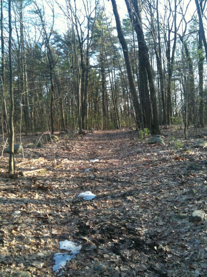 A dirt path winding through a forest, surrounded by tall trees and scattered leaves on the ground. Small patches of snow are present along the trail. The scene is bathed in soft natural light, suggesting early spring or late winter. Callahan State Park mountain bike trail.