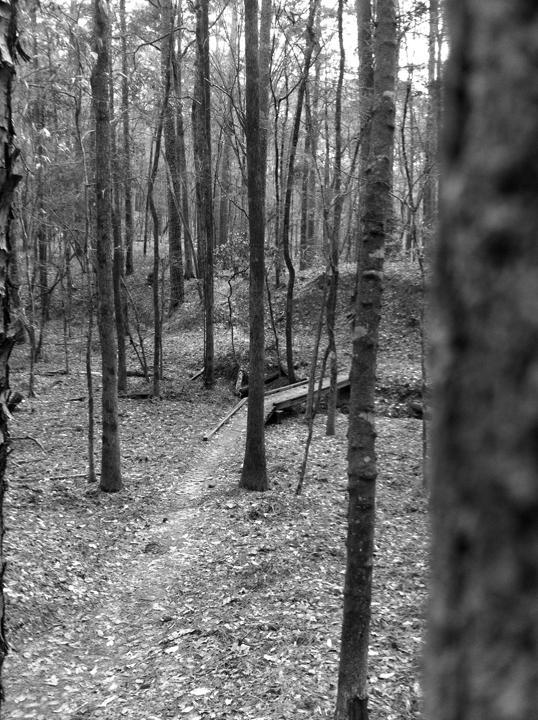 Black and white photograph of a wooded area, featuring tall trees and a narrow dirt path that leads to a small wooden bridge crossing a creek. The forest is filled with fallen leaves, and the scene conveys a serene, natural environment. Clear Springs Rec. Area mountain bike trail.
