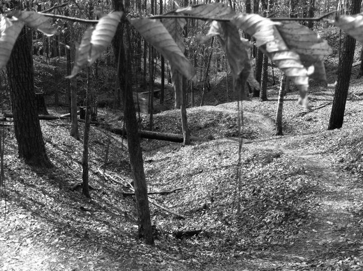 A monochrome photograph of a forest scene featuring a winding pathway through a leaf-covered ground, surrounded by tall trees. The foreground includes branches with leaves, while the background reveals uneven terrain with hills and fallen logs, creating a serene natural setting. Clear Springs Rec. Area mountain bike trail.