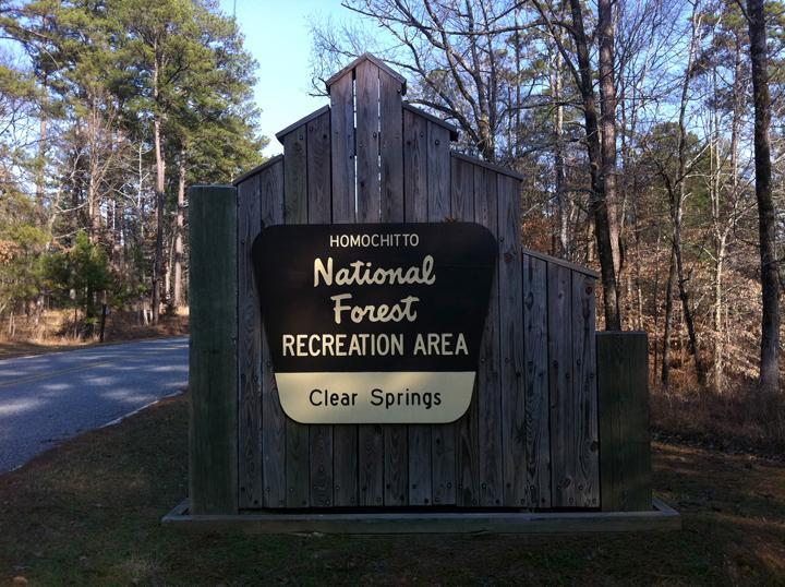 Sign for Homochitto National Forest Recreation Area, featuring the text "Homochitto National Forest Recreation Area" and "Clear Springs," surrounded by trees and with a road visible in the background. Clear Springs Rec. Area mountain bike trail.