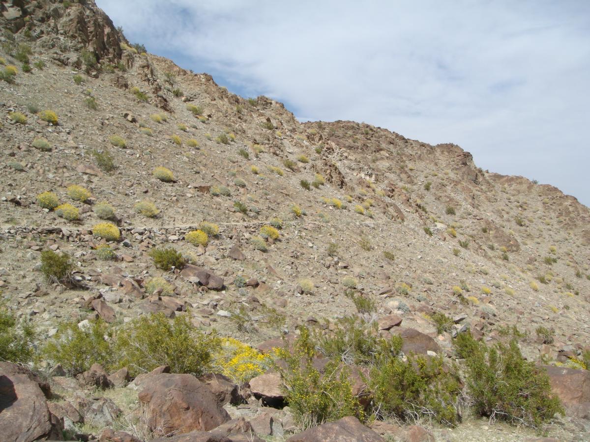 A rocky hillside with scattered yellow shrubs and green foliage, under a partly cloudy sky. The terrain is dry and uneven, featuring a mix of small stones and larger boulders. Bump and Grind / Hop Along mountain bike trail.