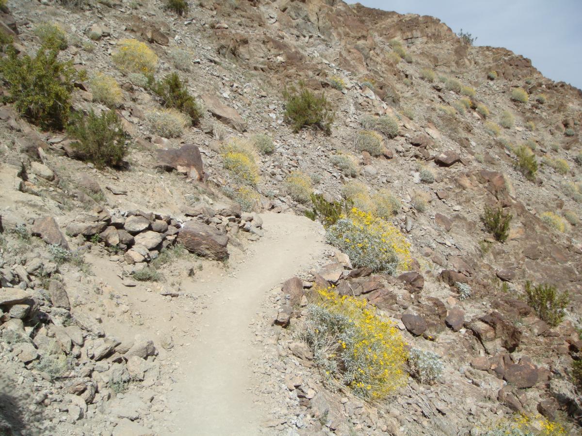 A narrow dirt path winds through a rocky terrain, surrounded by scattered yellow wildflowers and sparse greenery on a hillside. The landscape is characterized by rocky outcrops and a rugged, sunlit environment under a light blue sky. Bump and Grind / Hop Along mountain bike trail.