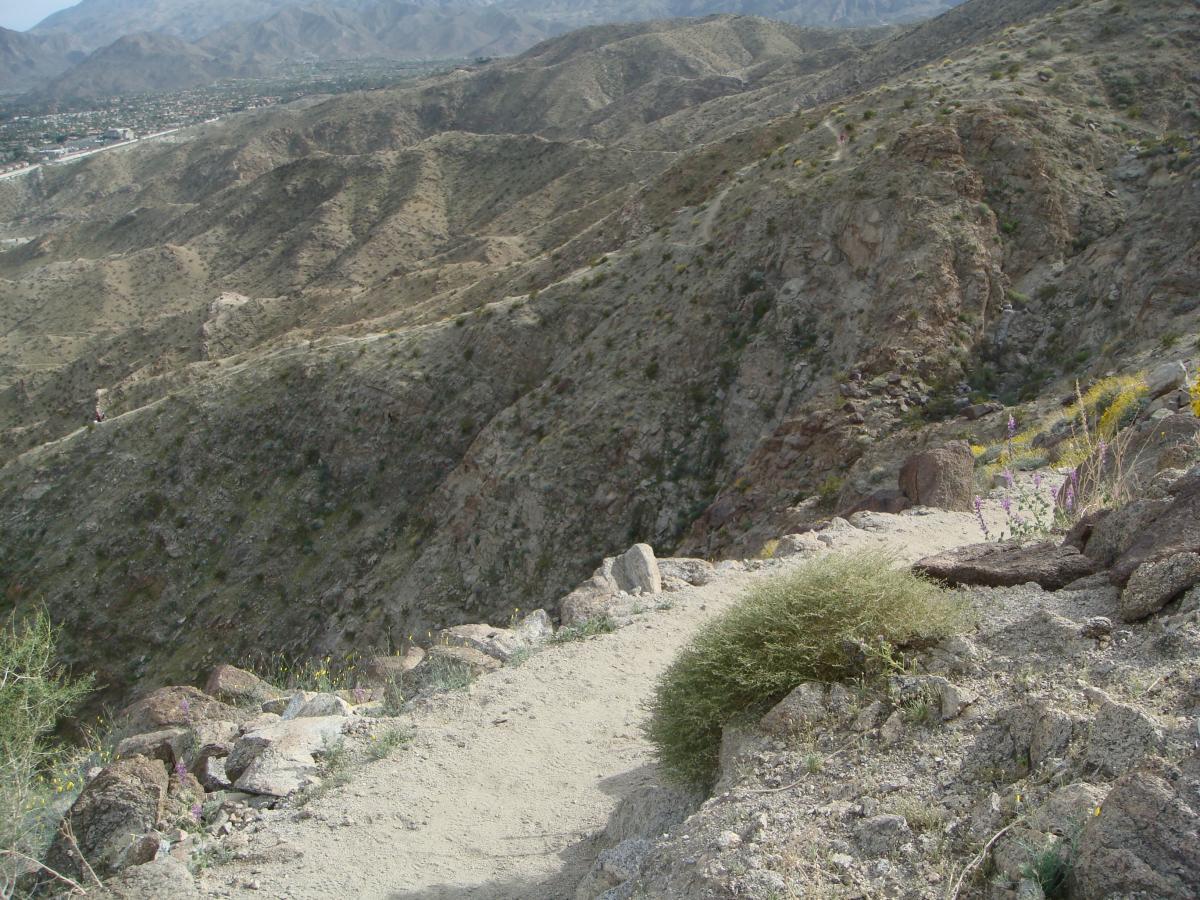 A winding dirt path through hilly terrain with rocky outcrops, leading into the distance. Sparse vegetation and wildflowers dot the landscape under a clear blue sky, with mountains in the background. The view overlooks a valley, showcasing the natural beauty of the rugged landscape. Bump and Grind / Hop Along mountain bike trail.