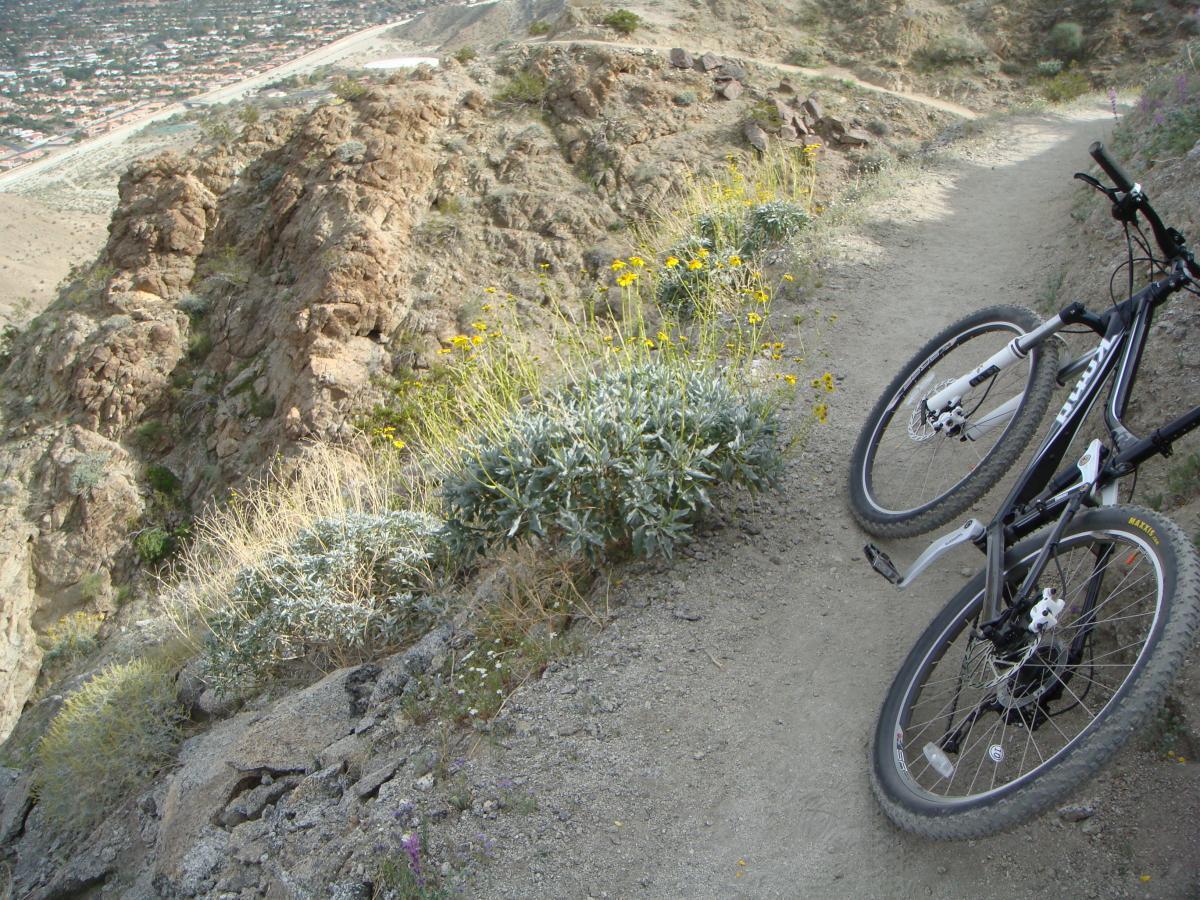 A mountain bike leaning against a rocky hillside, surrounded by desert vegetation and wildflowers. In the background, a view of a cityscape is visible below, with a winding road cutting through the landscape. The path ahead appears to curve along the slope. Bump and Grind / Hop Along mountain bike trail.