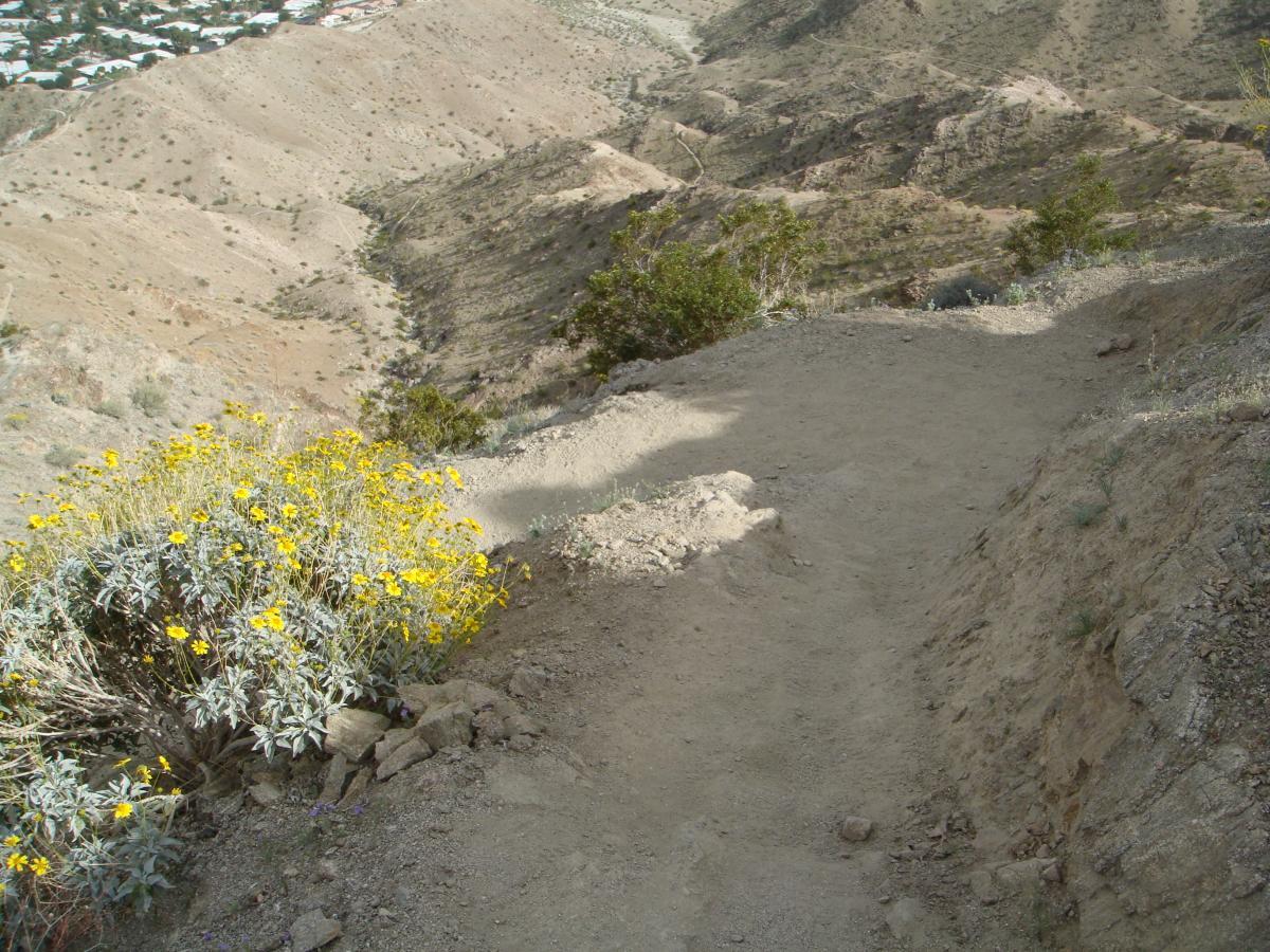 A winding dirt trail on a hillside, bordered by green shrubs and bright yellow wildflowers. In the background, a vast landscape of rolling hills is visible, leading down to a valley with residential buildings. The scene captures the natural beauty of the terrain, showcasing a mix of earthy tones and vegetation. Bump and Grind / Hop Along mountain bike trail.