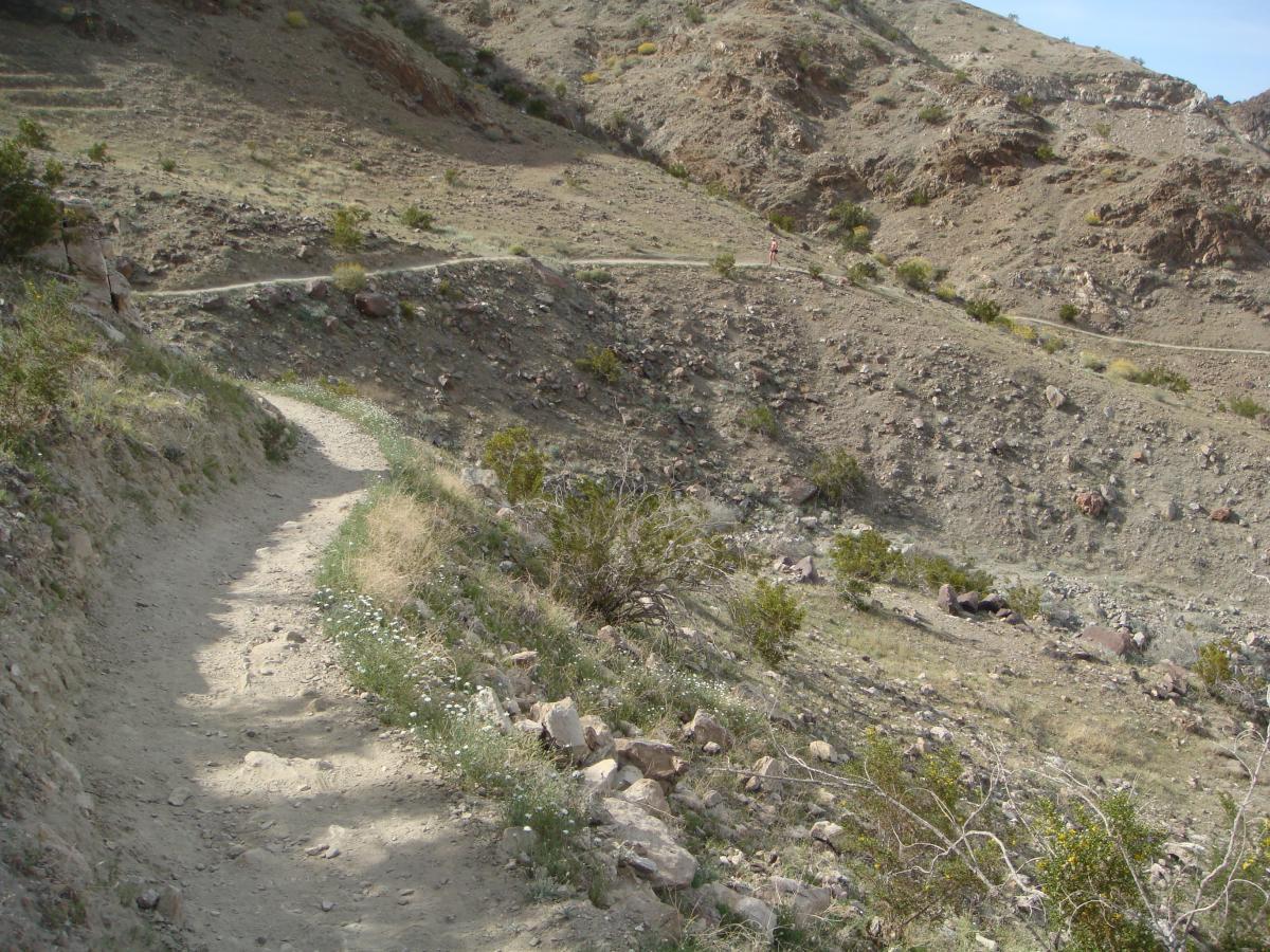 A winding dirt path leads through a rocky landscape with scattered vegetation. The surrounding hills are dry and rugged, showcasing earthy tones and sparse greenery. Small flowers and shrubs line the edges of the trail, which curves up and around the terrain. Bump and Grind / Hop Along mountain bike trail.
