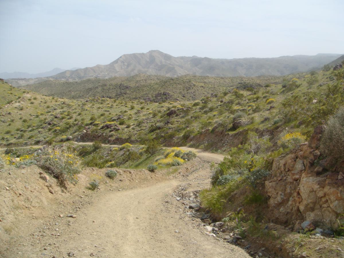 A winding dirt road meanders through a hilly landscape covered in green vegetation and yellow wildflowers, with mountains rising in the background under a slightly overcast sky. The Goat Trails mountain bike trail.