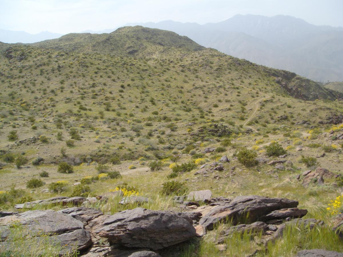 A rocky landscape with rolling hills covered in sparse vegetation and scattered yellow wildflowers. In the distance, mountain peaks are visible under a cloudy sky. An unpaved path winds through the grassy terrain, leading deeper into the hills. The Goat Trails mountain bike trail.