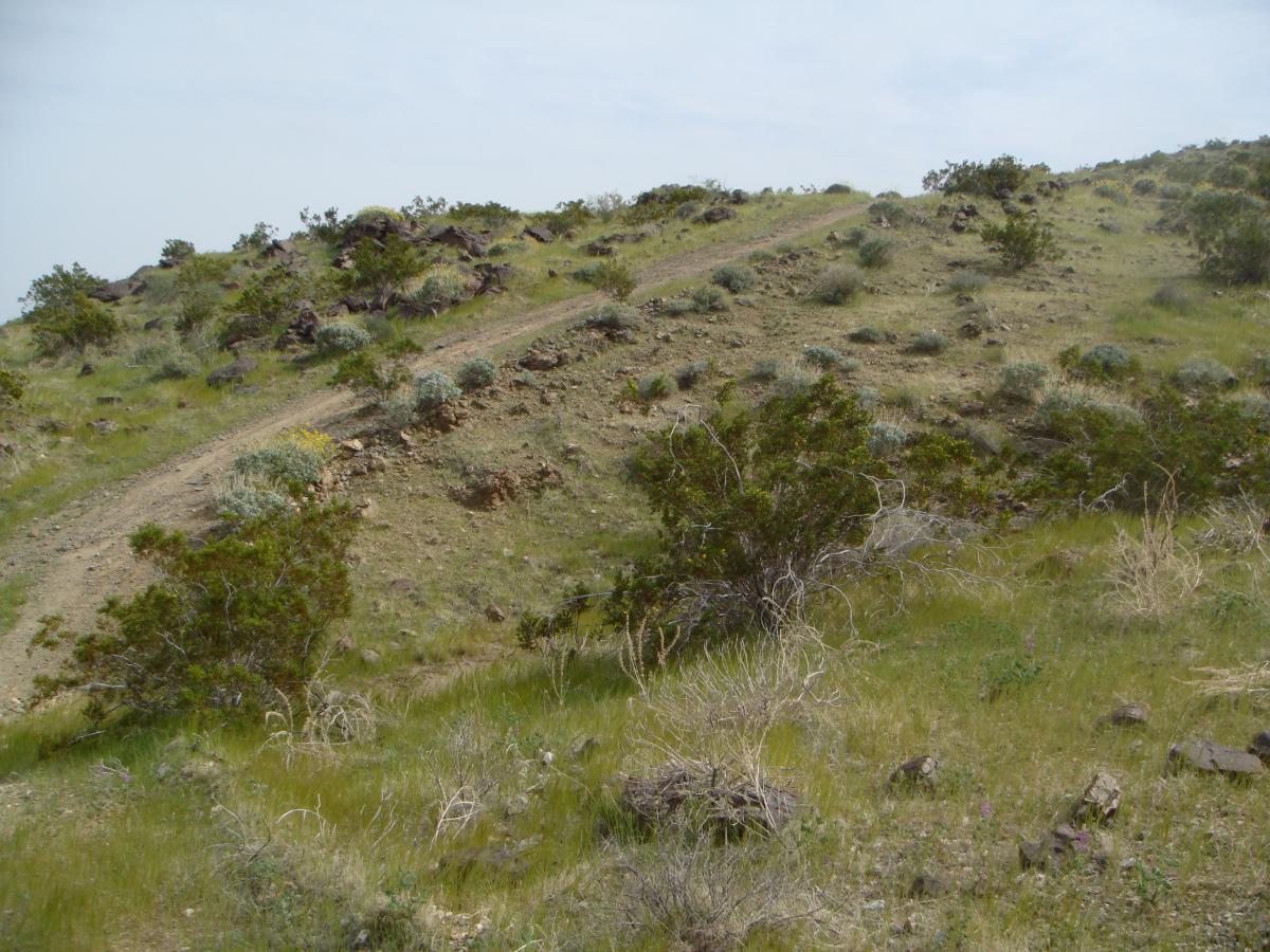 A winding dirt trail leading up a grassy hillside scattered with small shrubs and rocky outcroppings, under a cloudy sky. The Goat Trails mountain bike trail.