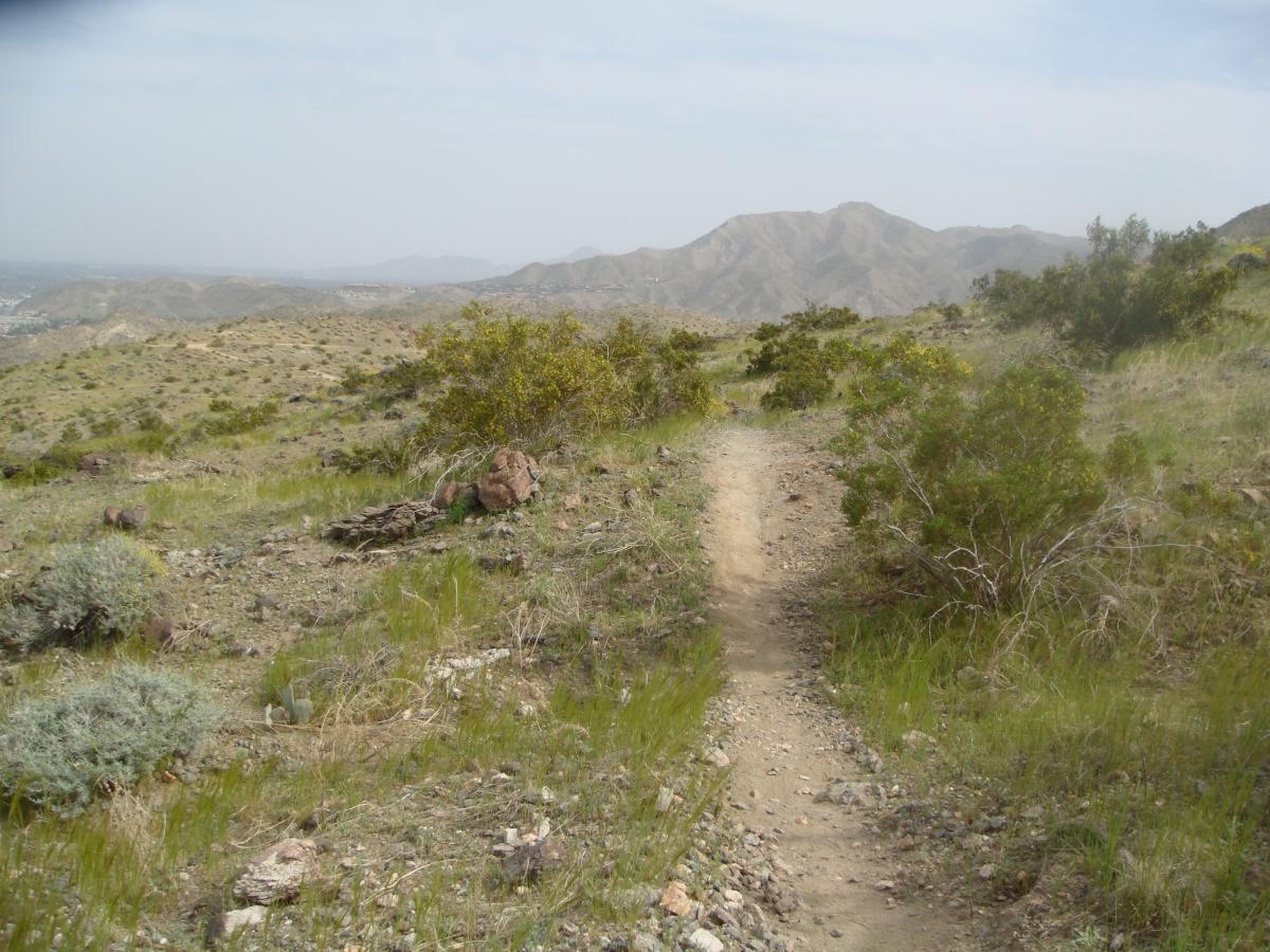 A dirt hiking trail winding through a desert landscape, surrounded by low shrubs and rocky terrain, with rolling hills in the background under a cloudy sky. The Goat Trails mountain bike trail.