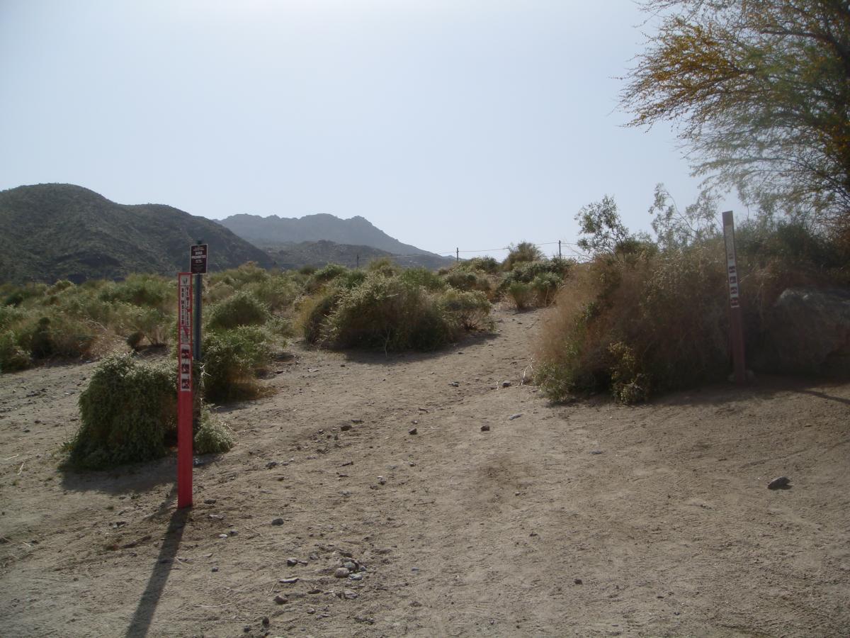 Dirt path leading uphill through a desert landscape, bordered by shrubs and sparse vegetation. Trail markers are visible on either side of the path, with mountains in the background under a clear sky. Art Smith Trail mountain bike trail.