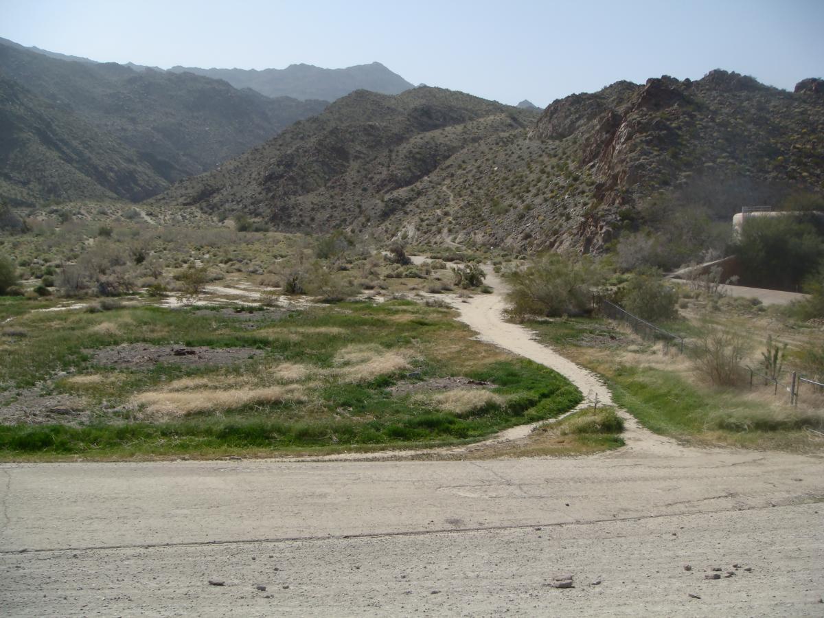 A scenic view of a dirt path winding through a grassy area in a mountainous landscape, surrounded by rugged hills and sparse vegetation under a clear blue sky. Art Smith Trail mountain bike trail.