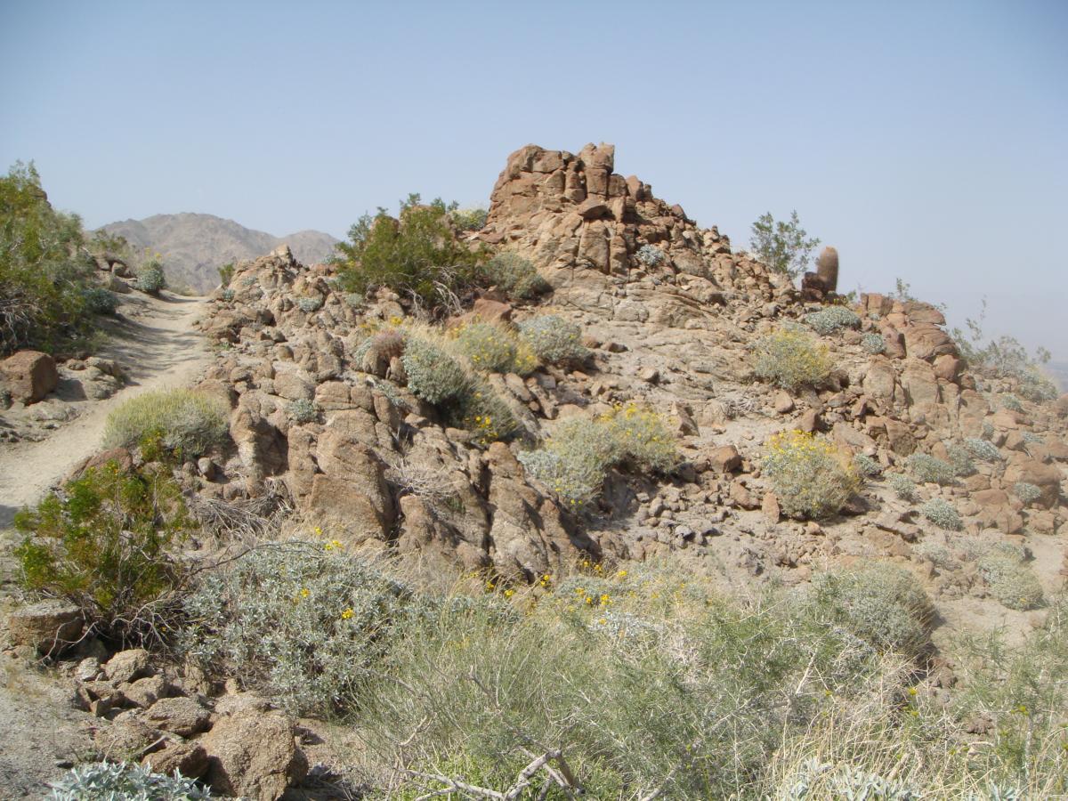 A rocky landscape with a winding dirt path surrounded by sparse vegetation, including shrubs and small yellow flowers, leading towards a rocky outcrop in the background. The scene is set under a clear blue sky with distant mountains visible. Art Smith Trail mountain bike trail.