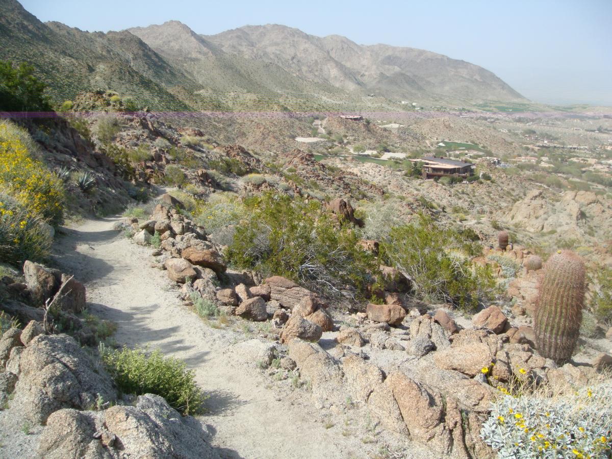 A winding dirt path leads through rocky terrain and desert vegetation, with mountains in the background. The scene includes scattered shrubs and cacti, and a few buildings are visible in the distance, set against a clear sky. Art Smith Trail mountain bike trail.