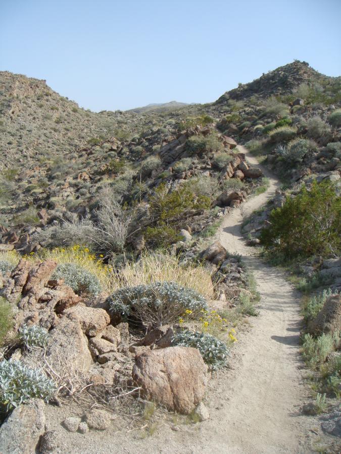 A narrow dirt trail winding through rocky terrain, surrounded by sparse desert vegetation and low shrubs. The landscape features uneven rocky hills and a clear blue sky above. Art Smith Trail mountain bike trail.