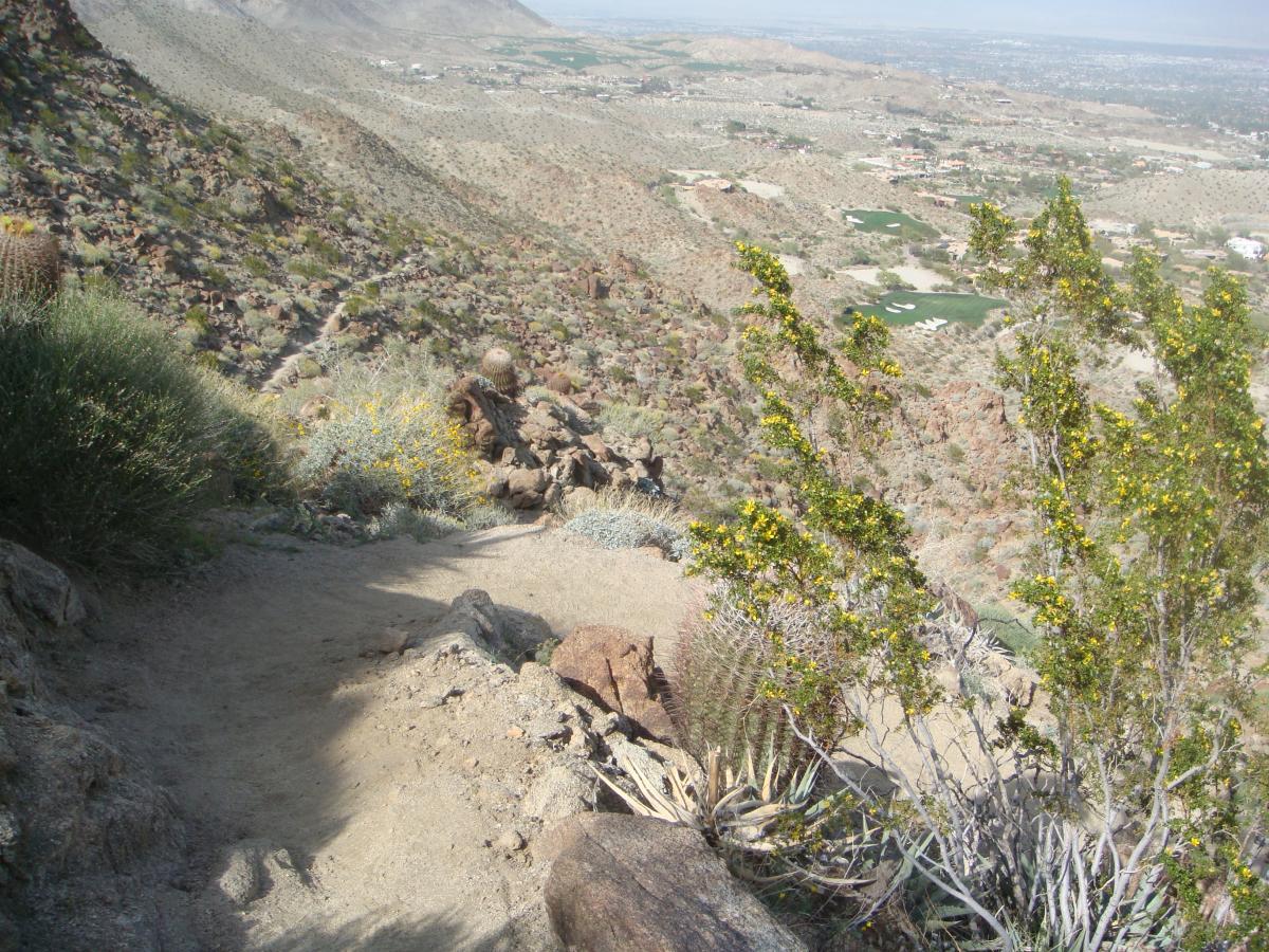 A winding dirt path leads down a rocky hillside, surrounded by sparse desert vegetation and shrubs. In the background, a panoramic view of a valley with patches of greenery and residential areas can be seen, set against a backdrop of distant mountains under a clear sky. Art Smith Trail mountain bike trail.